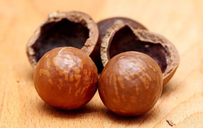 Сколько калорий в орехе макадамия