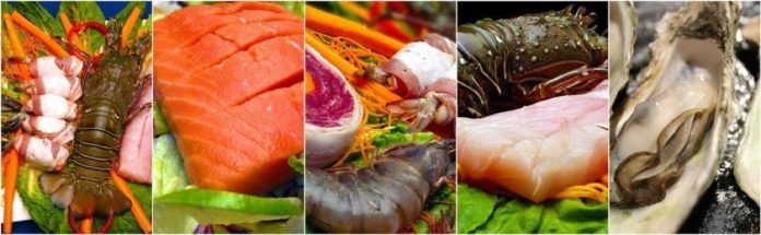 Содержание белка в рыбе и морепродуктах