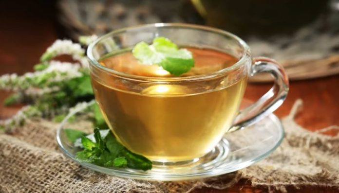 Характеристики эфирного масла чайного дерева